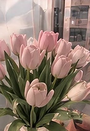 A bunch of pink tulips